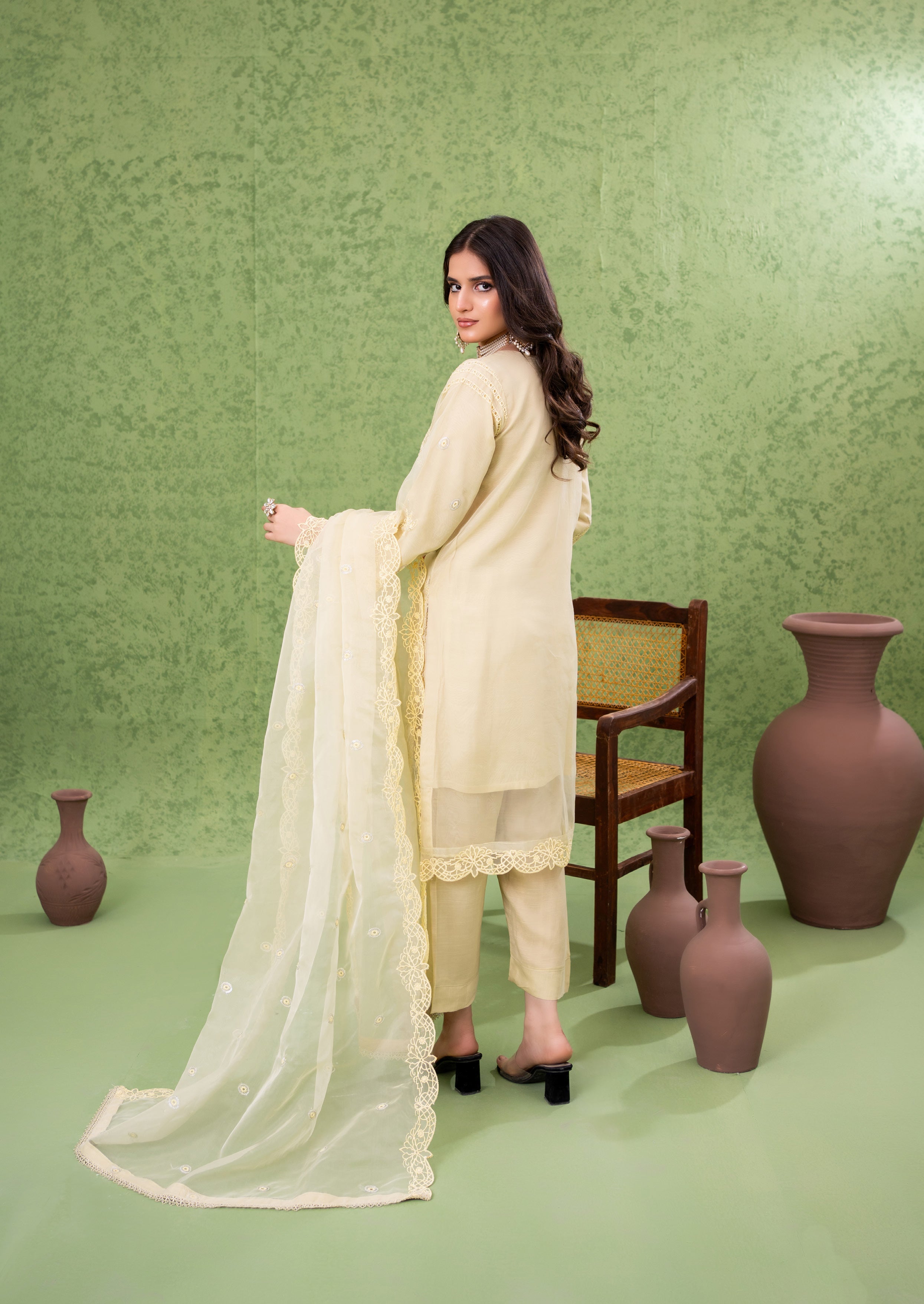 NAQSH Formal Festive ORGANZA EMBROIDERED COLLECTION